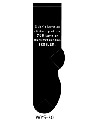 I don't have an attitude problem. You have an understanding problem.