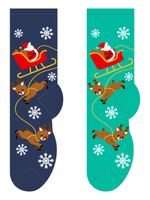 Santa & Reindeer