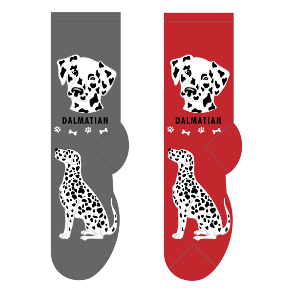 Dalmatian breed socks