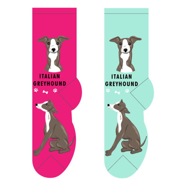 Italian Greyhound socks