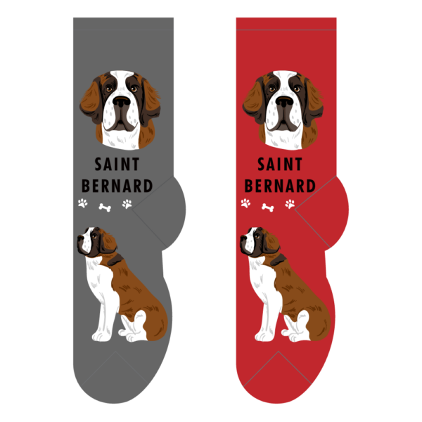 Saint Bernard socks