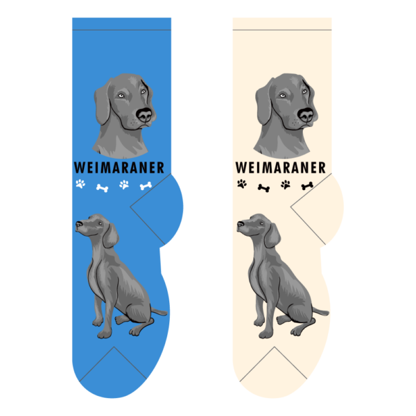 Weimaraner socks