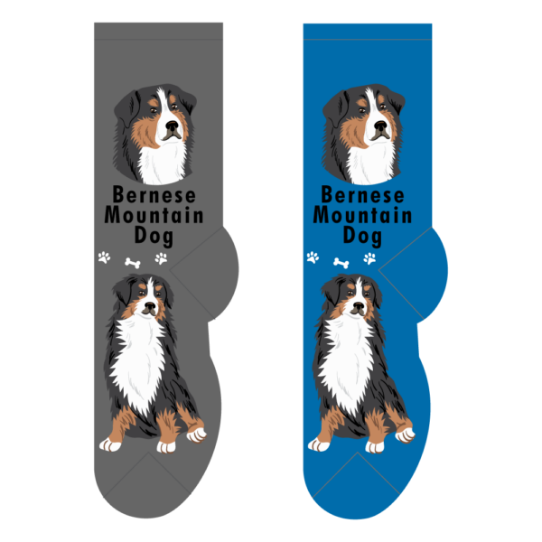 Bernese Mountain Dog socks