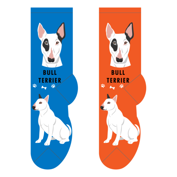 Bull Terrier socks