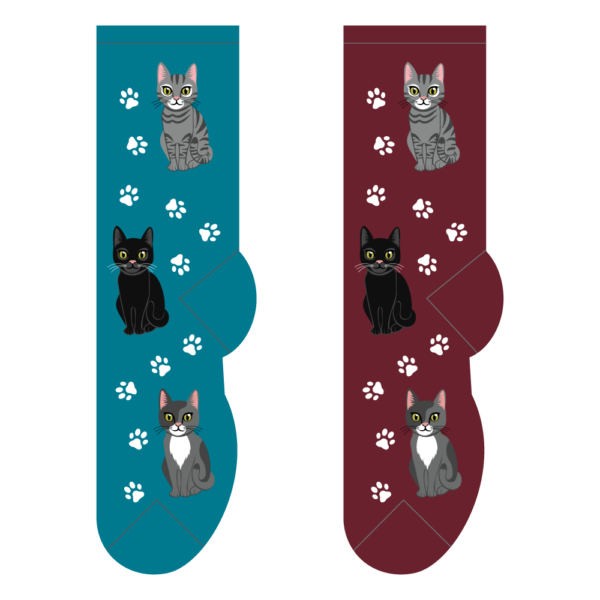 fundraising cat socks