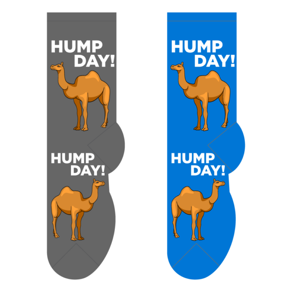 fundraising men's socks - hump day