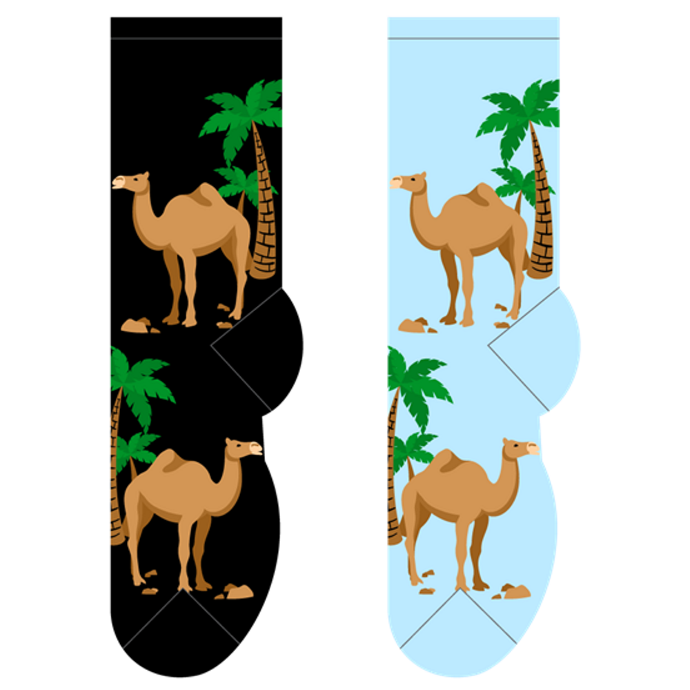camels novelty socks