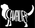 Cavalier - Silhouette
