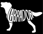 Labrador - Silhouette