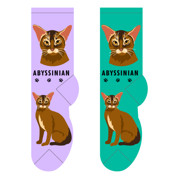Abyssinian - Small/Med Adult