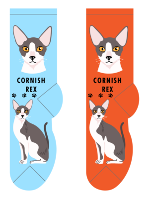 Cornish Rex – Small/Med Adult