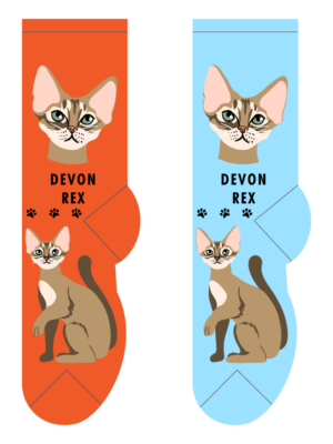 Devon Rex – Small/Med Adult