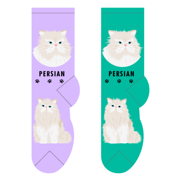 Persian – Small/Med Adult