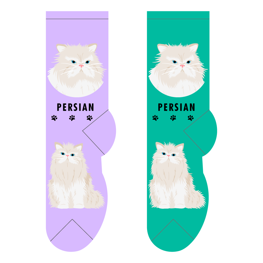 Persian – Small/Med Adult