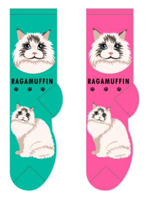 Ragamuffin – Small/Med Adult