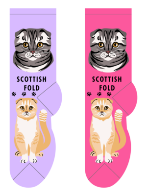 Scottish Fold – Small/Med Adult