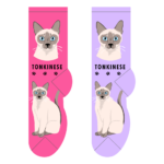 Tonkinese – Small/Med Adult